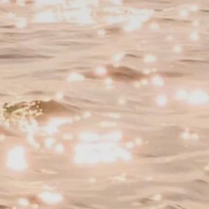 Meet your Posher, Asha